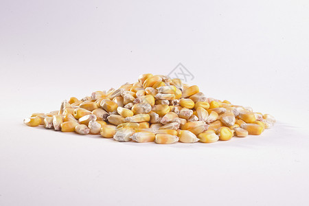 谷物 喂食玉米皮谷类黄色玉米画幅水平植物庄稼物体饲料种子背景图片