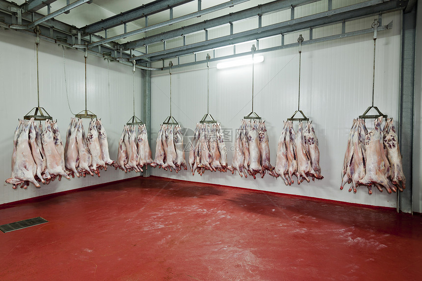 屠宰场肉类牛肉行业兽骨猪肉替代动物红肉食品肉柜图片