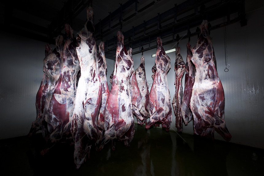 屠宰场生食食物牛肉食品肉柜肋骨行业饮食肉类红肉图片