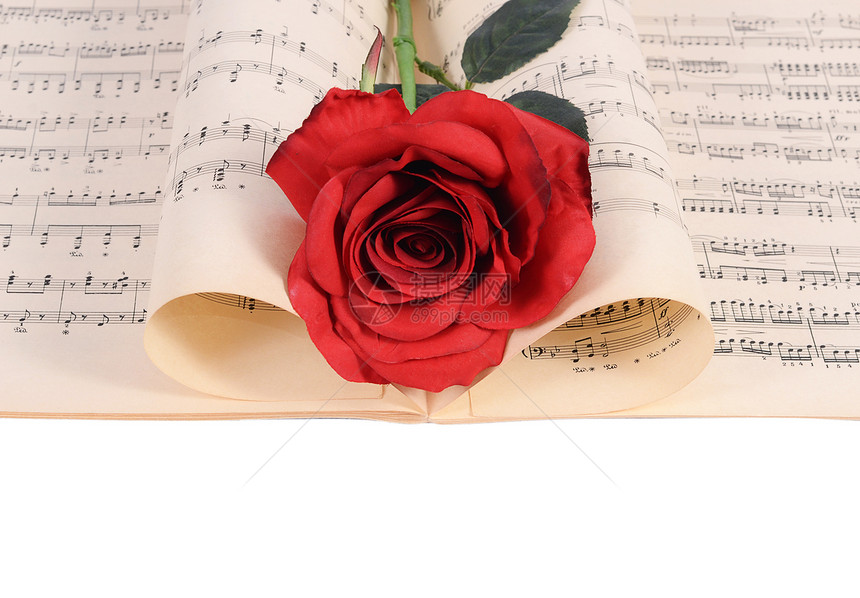 笔记本上的玫瑰和笔记歌曲旋律歌词音乐家作品花瓣唱歌交响乐浪漫乐器图片