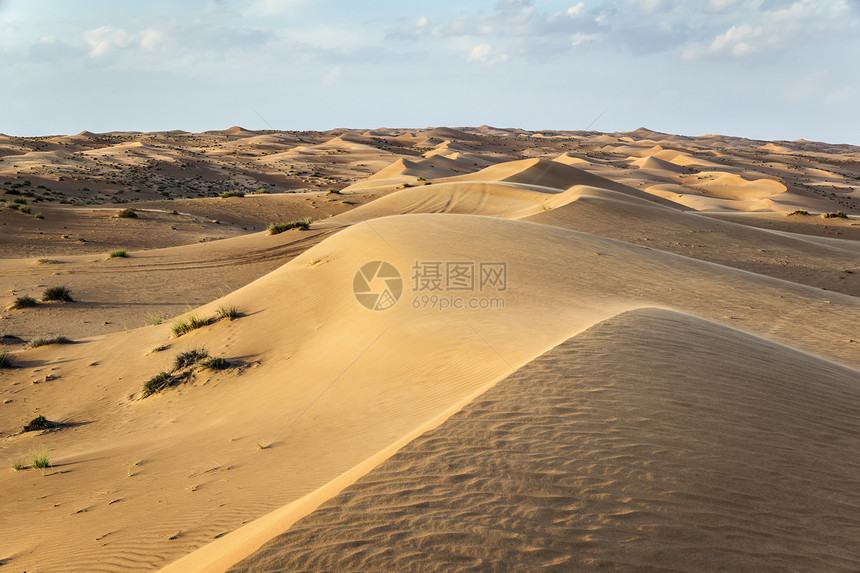 瓦希巴阿曼沙漠天空沙丘蓝色植物假期衬套旱谷绿色灌木丛旅行图片