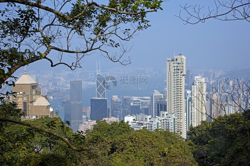 香港市天线植物阳台建筑学城市衬套摩天大楼森林景观金融商业图片