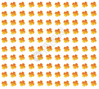 鲜花的背景背景投标橙子植物群花瓣背景图片