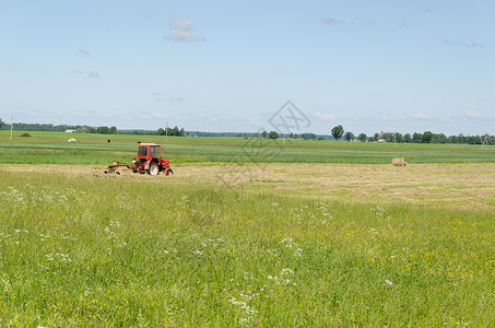 老拖拉机农业领域红拖拉机 Ted干草背景
