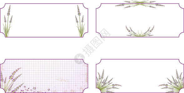 粉紫色标签边框淡紫花色标签设置插画