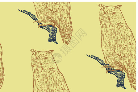 猎人与鸟素材白鹰鹰本底的无缝模式野生动物艺术食肉翅膀猎物眼睛动物猎人黄色插图设计图片
