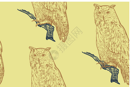 猎人与鸟素材白鹰鹰本底的无缝模式野生动物黄色捕食者眼睛荒野猎人猎物猎鹰翅膀绘画设计图片
