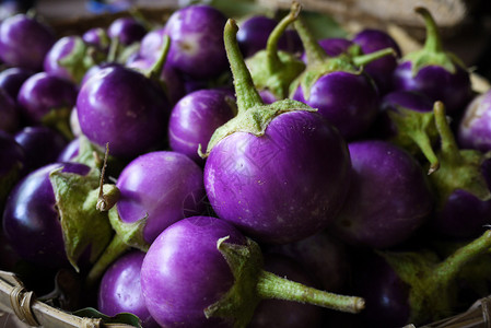 蔬菜批发市场紫色圆茄子背景