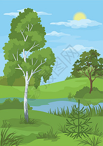 俄罗斯贝尔加湖夏季风景 树木和河流生长针叶野生动物森林公园天空太阳农村桦木气候插画