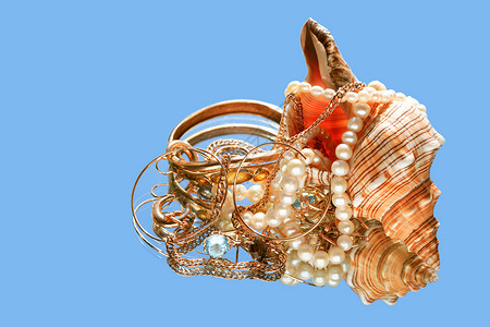 壳和宝藏贝壳工艺配饰对象珍珠女性耳环宝石饰品多样性背景图片