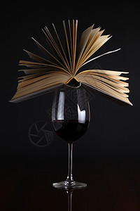 酒杯和书籍奢华棕色反射红色酒精闲暇玻璃广告页数故事背景图片