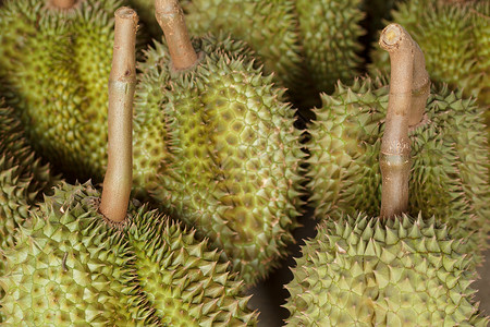 达里安语Name绿色榴莲热带市场水果背景图片