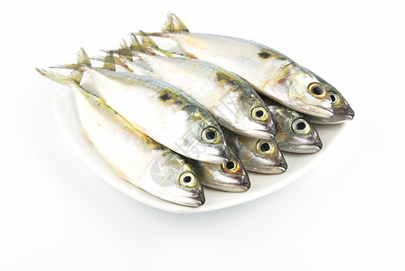 新鲜竹鱼钓鱼居住尾巴白色海洋鲭鱼营养盐水餐厅海鲜水下高清图片素材