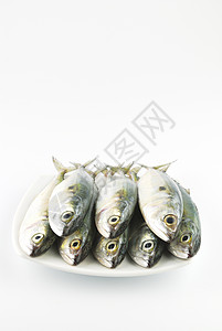 新鲜竹鱼食物尾巴营养鲭鱼盐水白色海鲜居住餐厅海洋健康高清图片素材