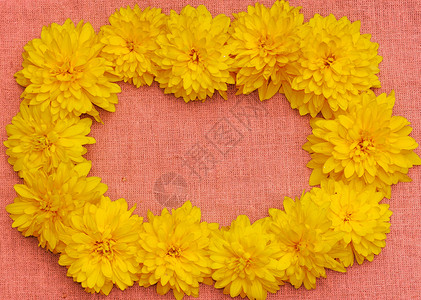 粉色布面背景下黄色花朵的边框边界乡村金子雏菊大丽花空白纺织品团体花瓣收藏背景图片