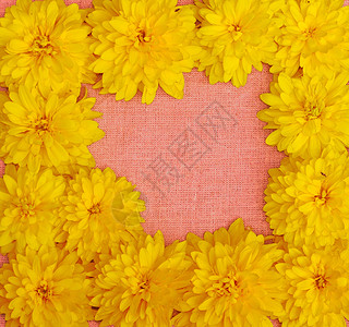 黄色花瓣边框粉色布面背景下黄色花朵的边框金子粗布纺织品乡村收藏雏菊空白团体边界大丽花背景