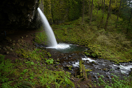 水瀑森林峡谷流动溪流绿色背景图片