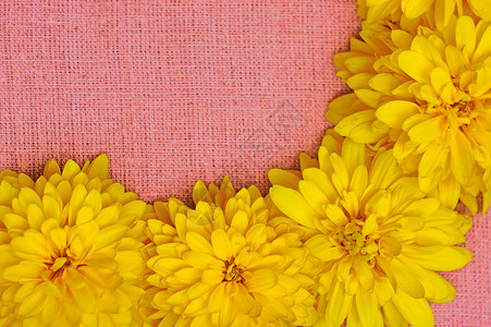 粉色布面背景下黄色花朵的边框粗布收藏空白雏菊纺织品金子乡村团体花瓣框架背景图片