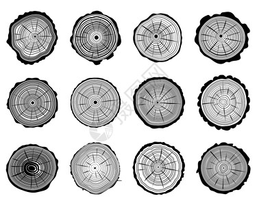 中继插图生活树桩日志木头历史黑色戒指同心森林高清图片