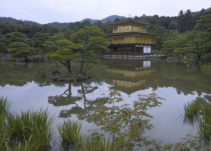 京都金殿池塘宗教坐禅花园寺庙旅游金子地标反射佛教徒背景