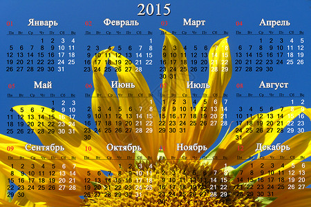 2015年日历 以俄文为黄向日葵背景图片