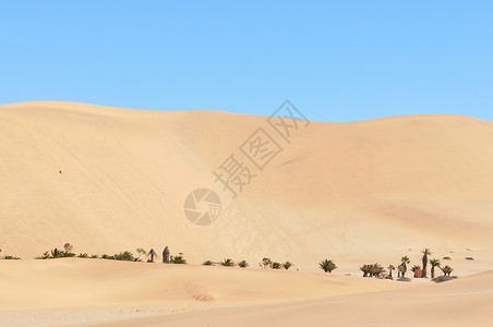 纳米布沙漠的7号防空洞沙丘风景荒野纳米布沙漠干旱棕榈孤独背景图片