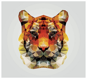 三角形猫素材金的野生动物高清图片