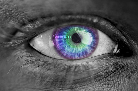 名片紫色绿色灰灰脸上的多色眼睛鸢尾花计算机女性灰色数字蓝色绘图绿色眼球紫色背景