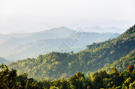 广点通高角视图森林山和天空树木绿色风景热带场景爬坡背景
