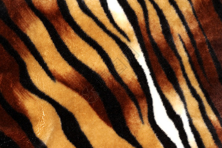虎形条纹理作为背景图案正方形织物橙子装饰纺织品动物园线条毛皮墙纸对角线背景图片