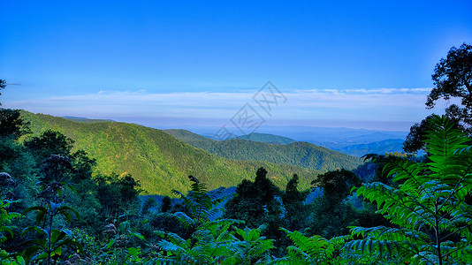 蓝岭公园路蓝岭山脉秋天的落叶高清图片