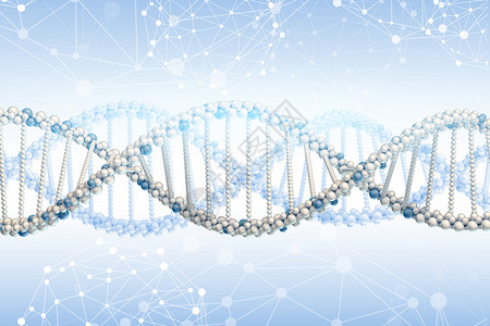 DNA模型螺旋坡度白色背景图片
