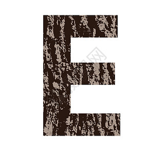 剥了皮栗子以橡树皮制成的字母E设计图片