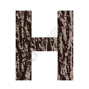 老树皮素材用橡树树皮制成的H设计图片