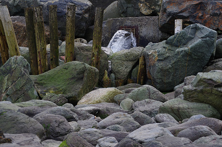 带木制防御杆和岩石的海滩木头鹅卵石两极背景图片