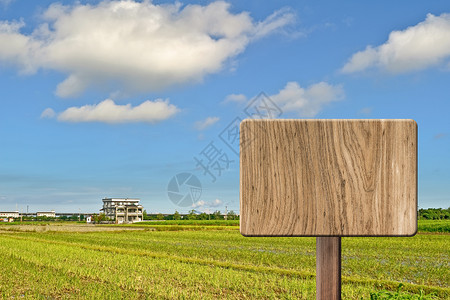 空白木制标志牌绿色生长植物收成稻田农业国家农村场地木板背景图片