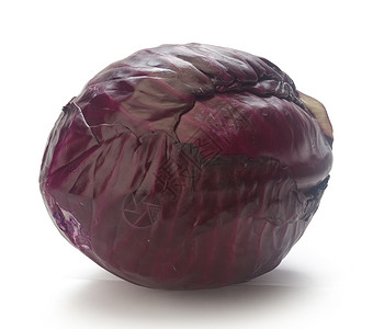 红卷心菜紫色生产蔬菜食物背景图片