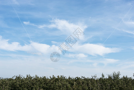 蓝色天空 有白云绿色草地农业植物土地季节阳光地平线乡村多云背景图片