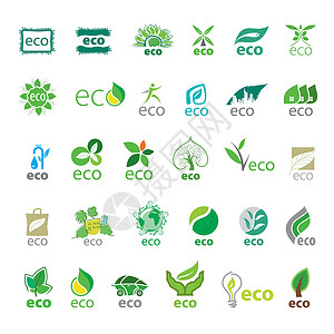 收集的最大矢量标识生态收藏燃料行星产品房子叶子品牌植物农业活力背景图片