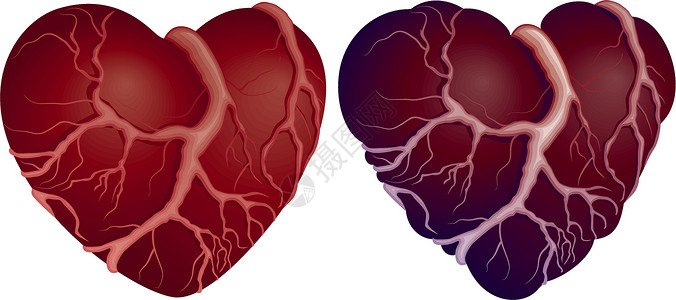 两个心脏形状背景图片