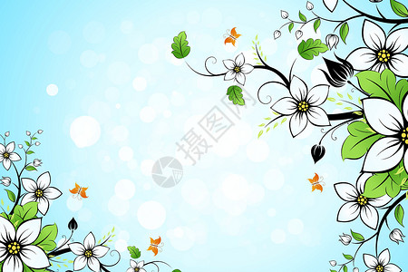 树叶和花花蝴蝶蓝色白色花朵艺术框架火花背景图片