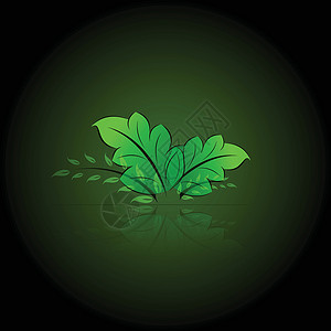 绿叶环树10绿色绘画插图反射背景图片