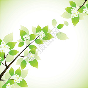 春季背景背景生态叶子树叶回收环境插图植物绿色背景图片
