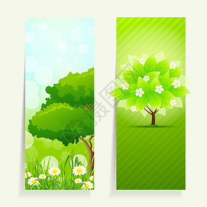 自然自然横幅绿色天空叶子植物风景插图背景图片