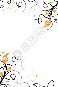 矢量花卉背景插图漩涡叶子滚动植物曲线背景图片
