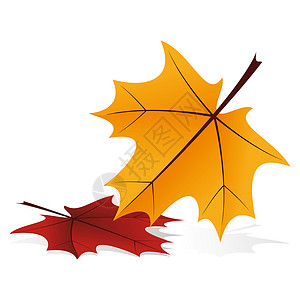 秋季图标枯叶叶子阴影落叶颜色红色黄色背景图片