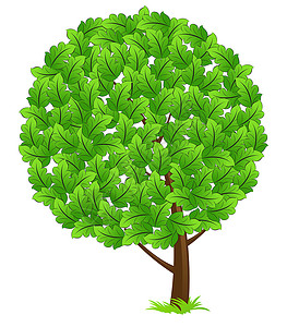 绿树图标插图艺术叶子白色背景图片