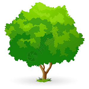 绿树插图生长回收叶子背景图片
