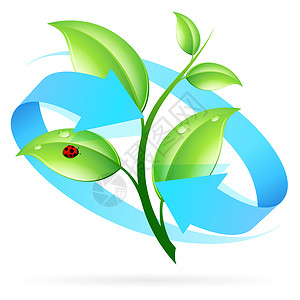 植物LOGOLogo 自然循环利用商业生物环境标识植物群生物学绿色漏洞瓢虫回收背景