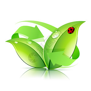 Logo 自然循环利用漏洞瓢虫植物商业生态环境标识绿色植物群生物背景图片